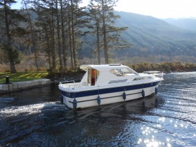 Cygnet