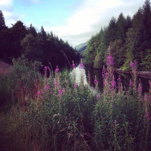 canal picture