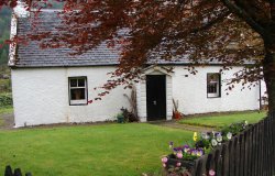 Ivy Cottage
