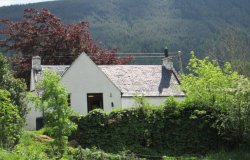Ivy Cottage